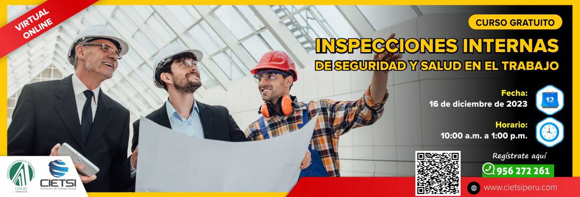 CURSO ESPECIALIZADO INSPECCIONES INTERNAS DE SEGURIDAD Y SALUD EN EL TRABAJO