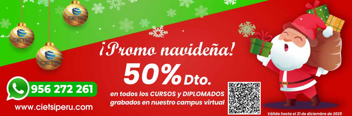 PROMOCIÓN NAVIDEÑA 2025