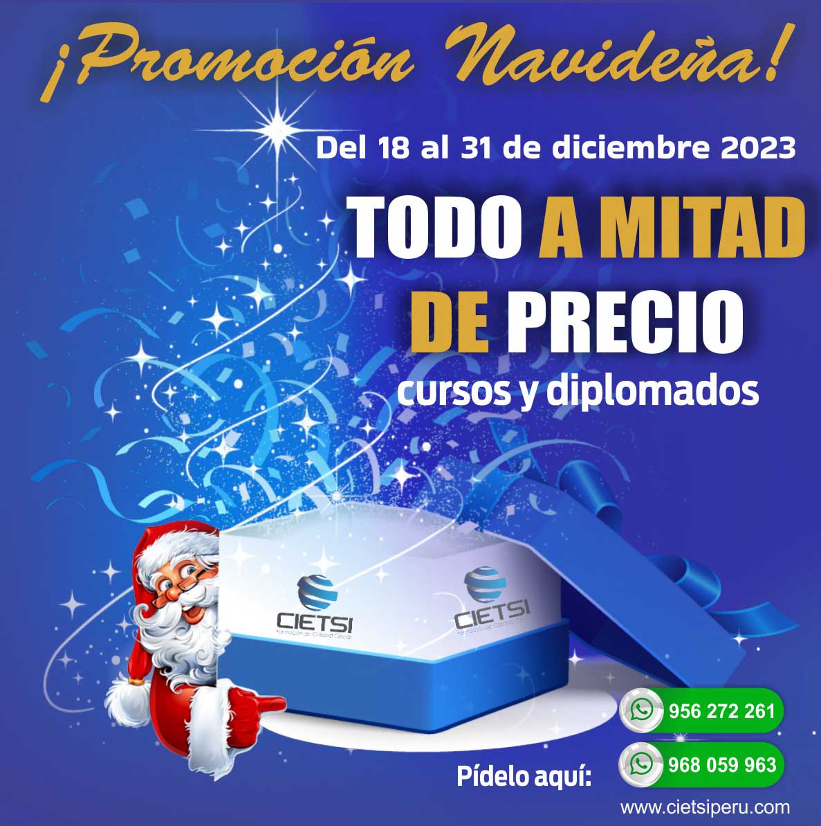 PROMOCIÓN NAVIDEÑA 2023